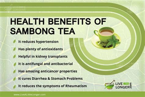Sambong Leaves: Uses, Benefits, Risks, and How to Prepare.